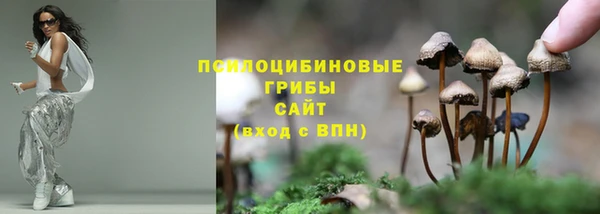 сатива Болхов