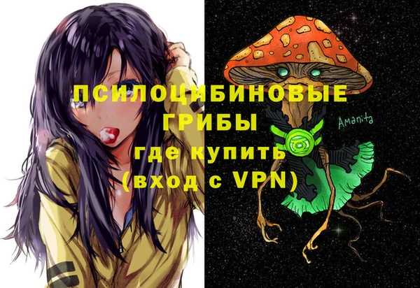 2c-b Нязепетровск