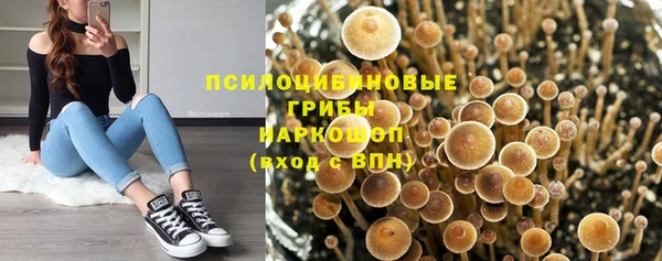2c-b Нязепетровск