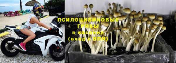 2c-b Нязепетровск