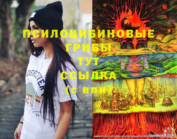 СК Болохово