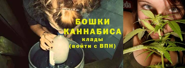 сатива Болхов