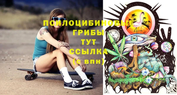 сатива Болхов