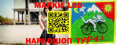 стаф Берёзовский