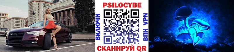 как найти закладки  Губкинский  Псилоцибиновые грибы мицелий 
