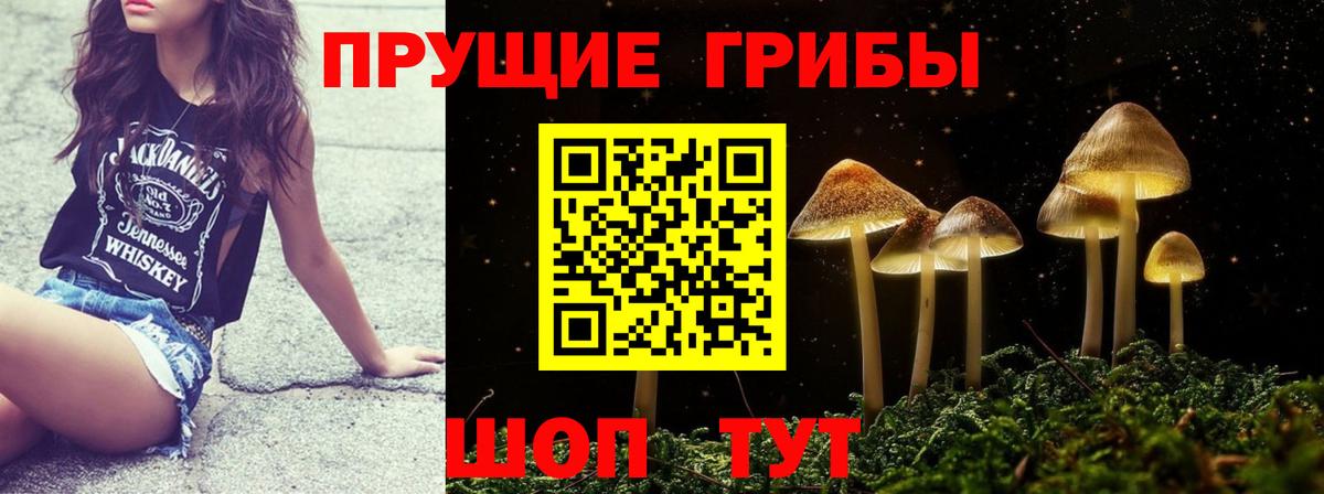 Галлюциногенные грибы Psilocybine cubensis  как найти закладки  Губкинский  Вход с VPN 
