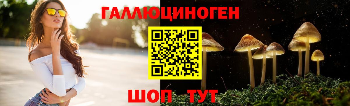 Псилоцибиновые грибы Cubensis Губкинский