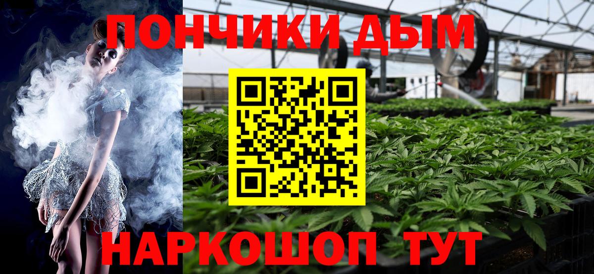 Конопля планчик Губкинский